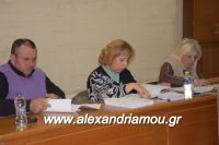 alexandriamou_agrotes0005