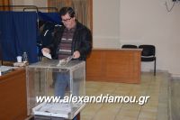 alexandriamou_agrotes0012