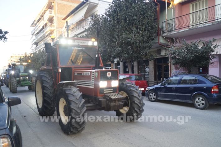 www.alexandriamou.gr_agrotes244_DSC8192