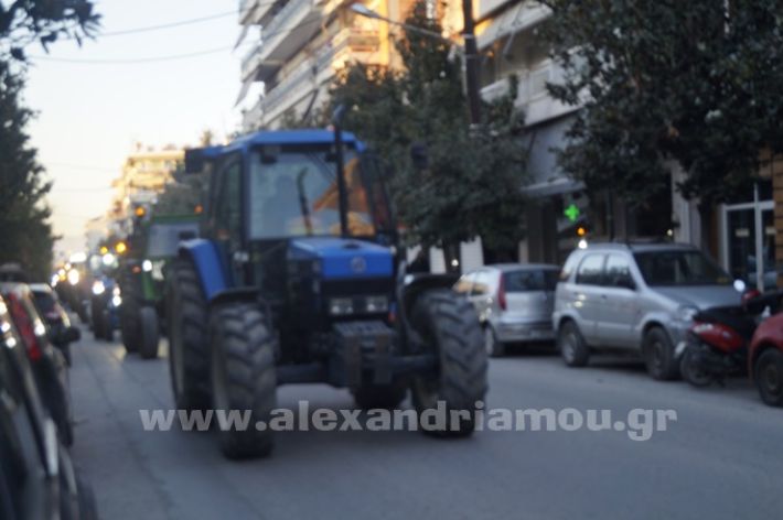 www.alexandriamou.gr_agrotes244_DSC8194