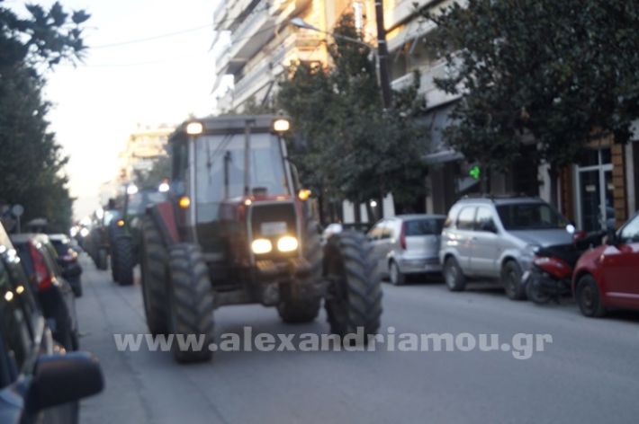 www.alexandriamou.gr_agrotes244_DSC8196