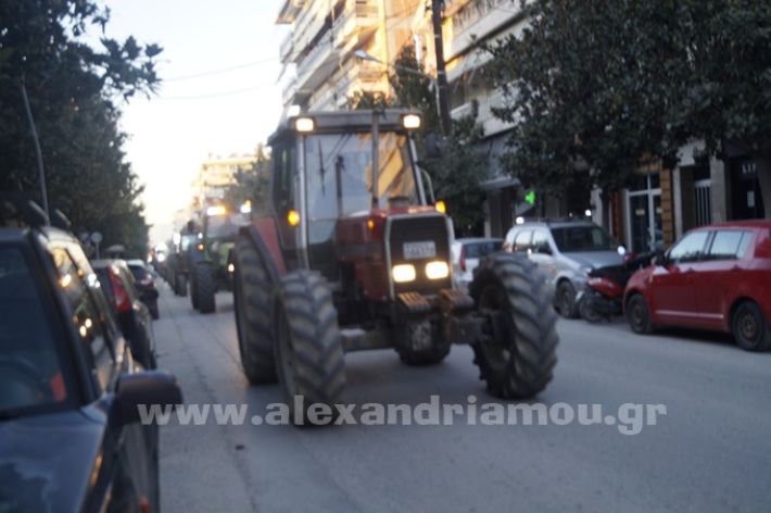 www.alexandriamou.gr_agrotes244_DSC8197