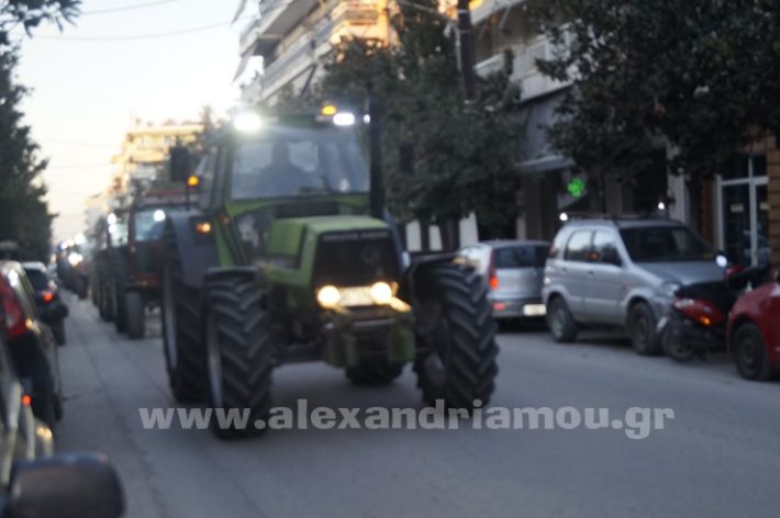 www.alexandriamou.gr_agrotes244_DSC8198