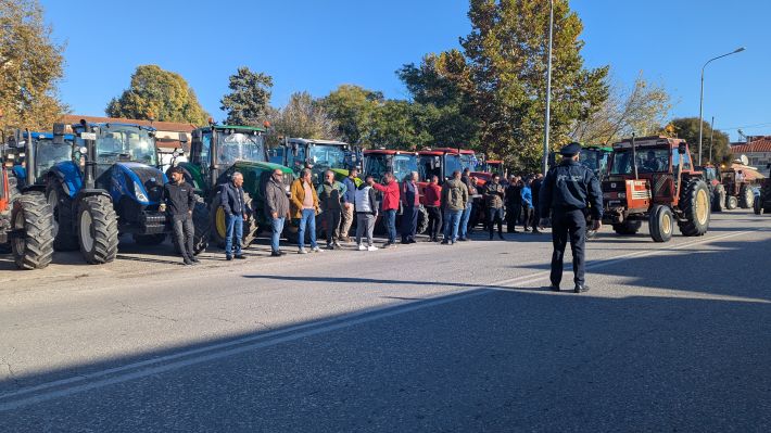 PXL_20251114_074510839