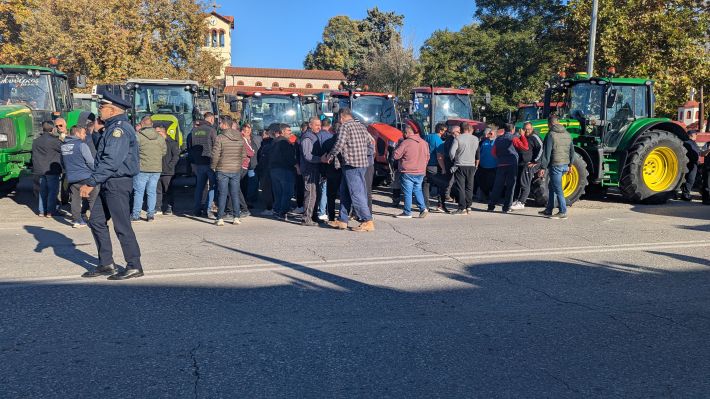 PXL_20251114_074944886