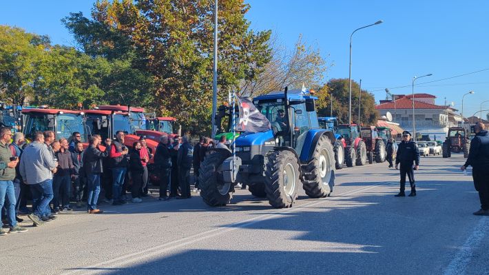 PXL_20251114_075241639