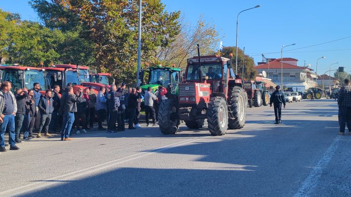 PXL_20251114_075249567