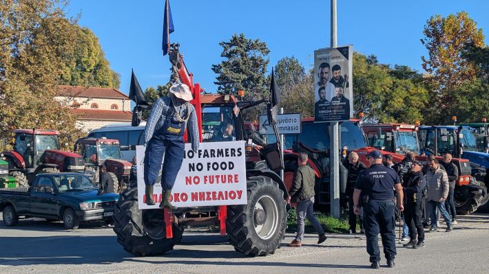 PXL_20251114_075359378