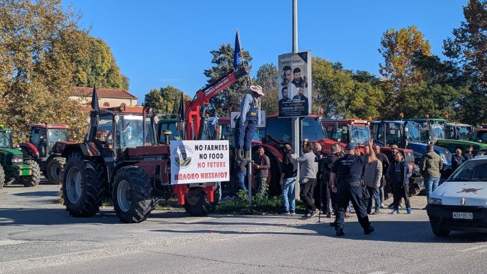 PXL_20251114_075426989