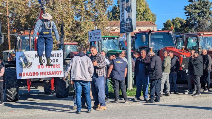 PXL_20251114_075528264