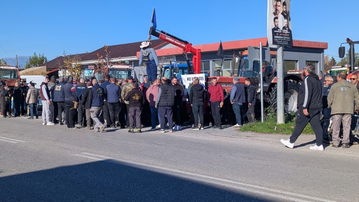 PXL_20251114_080026396