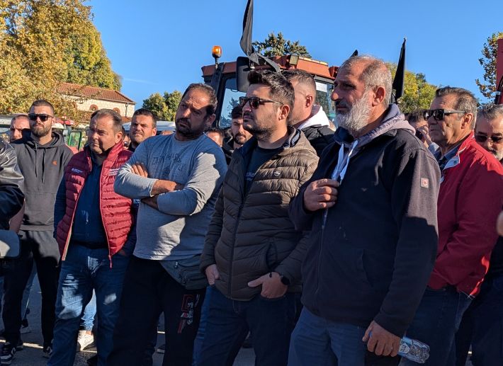 PXL_20251114_080105088