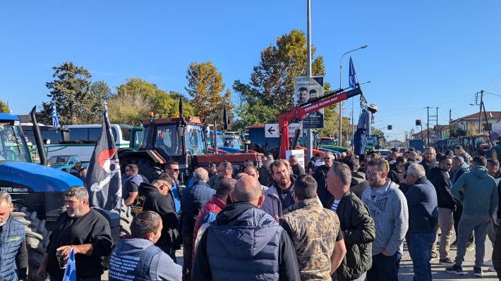 PXL_20251114_082456851.MP