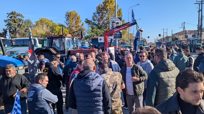 PXL_20251114_082458976