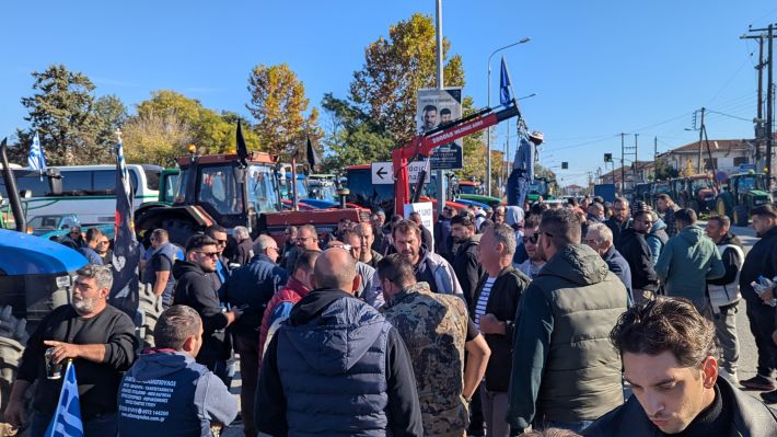 PXL_20251114_082500256