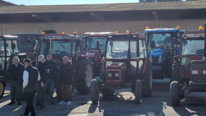 PXL_20251130_084905618