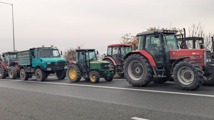 PXL_20251203_092318573.PORTRAIT