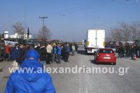 alexandriamou_nhseli_agrotes_egnatia03