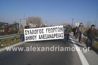 alexandriamou_nhseli_agrotes_egnatia12