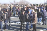 alexandriamou_nhseli_agrotes_egnatia47