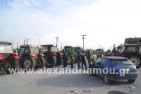 alexandriamou_agrotes01