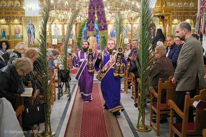 55191579753_dbf24ba318_c