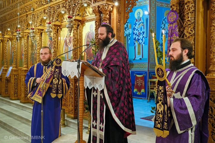 55191762500_1e697243f2_c