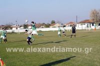 alexandriamou_alexandreia_trikala48