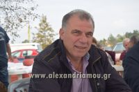 alexandriamou_amarantos_230153