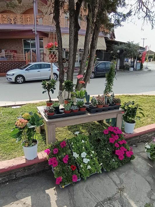 a30c98ce-8baa-4617-88e0-24bbd4935fb7