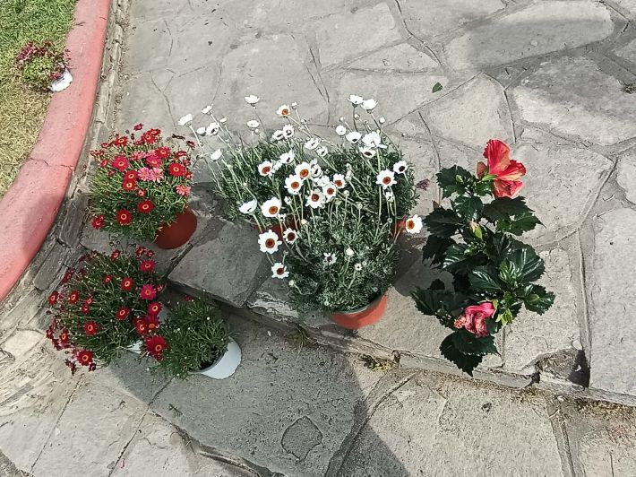 afeb779d-b3fa-4f78-ac2a-033a7a3b3cc8