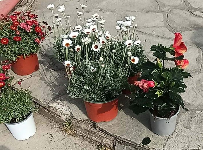 f7bf3e4b-0c38-4912-bf1f-0e6987fbf967