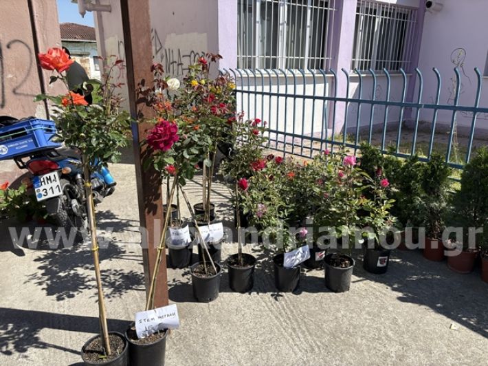 alexandriamou.gr_anthoekthesi_nisi3.5.25000
