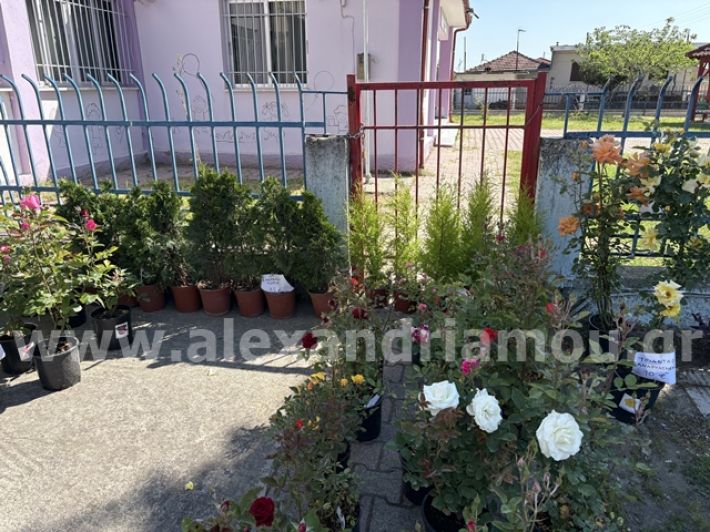 alexandriamou.gr_anthoekthesi_nisi3.5.25001