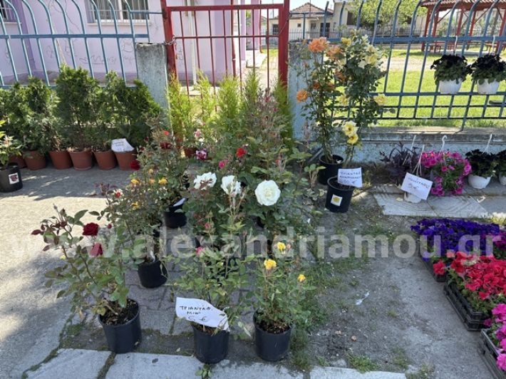 alexandriamou.gr_anthoekthesi_nisi3.5.25002