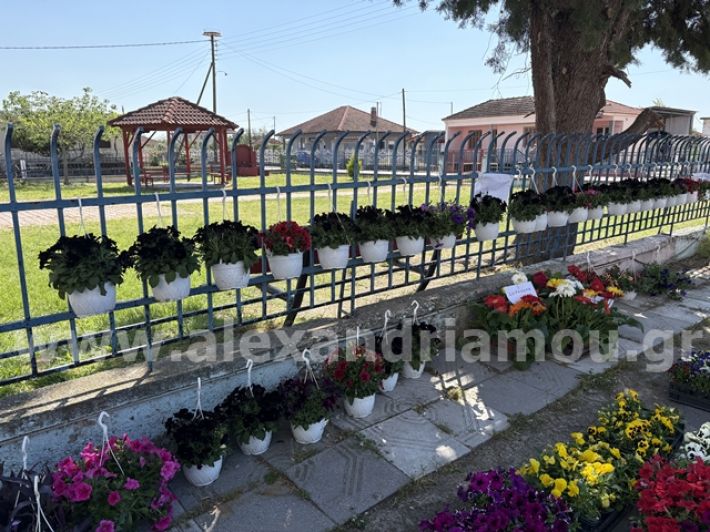 alexandriamou.gr_anthoekthesi_nisi3.5.25004