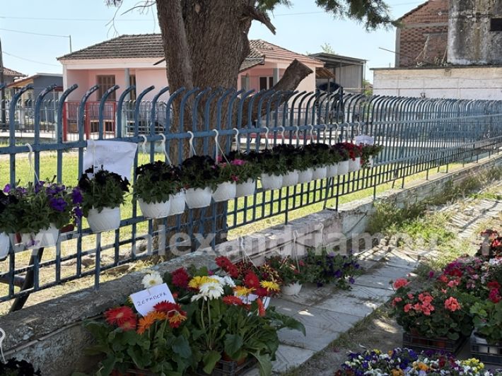 alexandriamou.gr_anthoekthesi_nisi3.5.25005