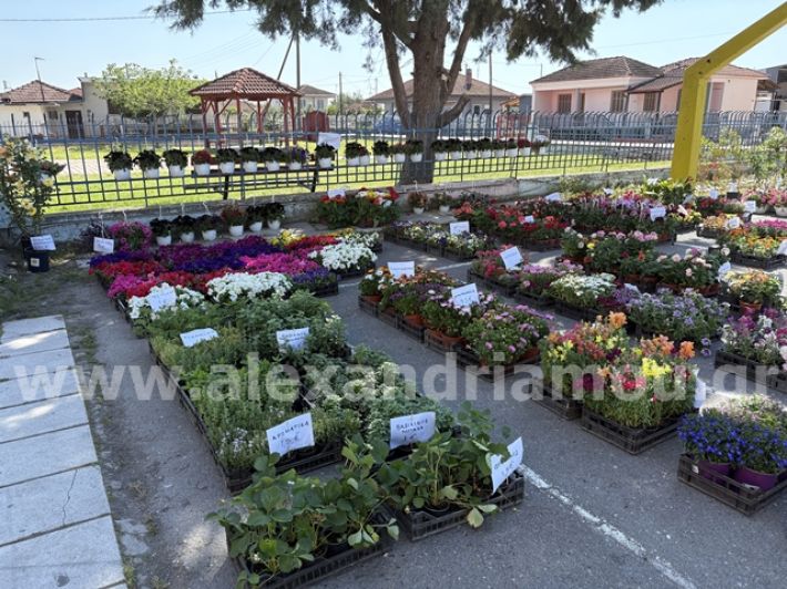 alexandriamou.gr_anthoekthesi_nisi3.5.25006