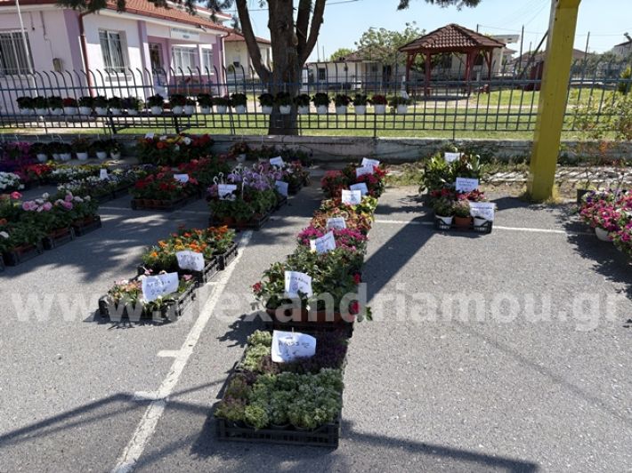 alexandriamou.gr_anthoekthesi_nisi3.5.25008