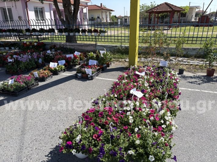 alexandriamou.gr_anthoekthesi_nisi3.5.25009