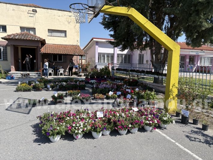 alexandriamou.gr_anthoekthesi_nisi3.5.25011