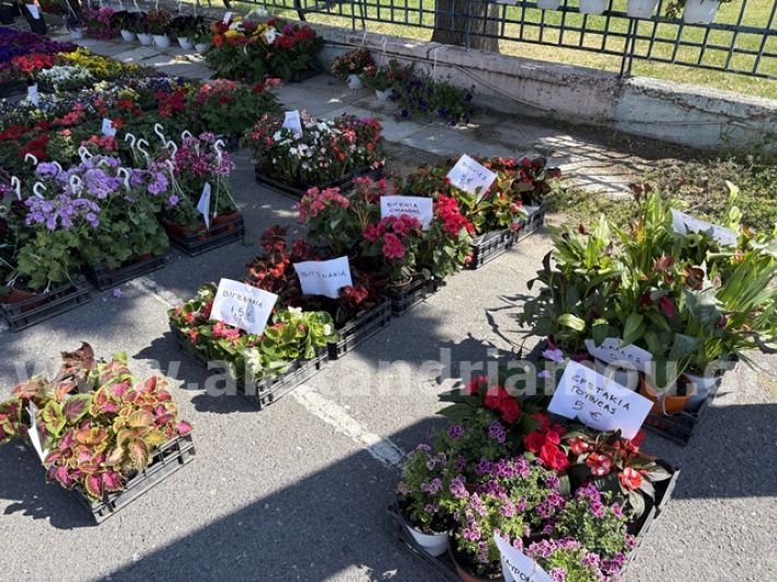 alexandriamou.gr_anthoekthesi_nisi3.5.25012