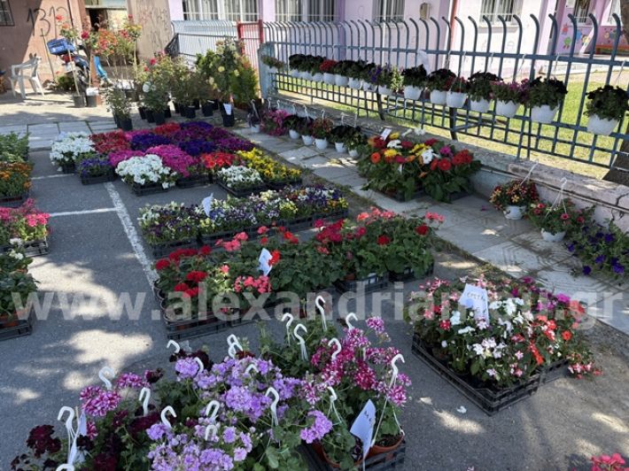 alexandriamou.gr_anthoekthesi_nisi3.5.25013