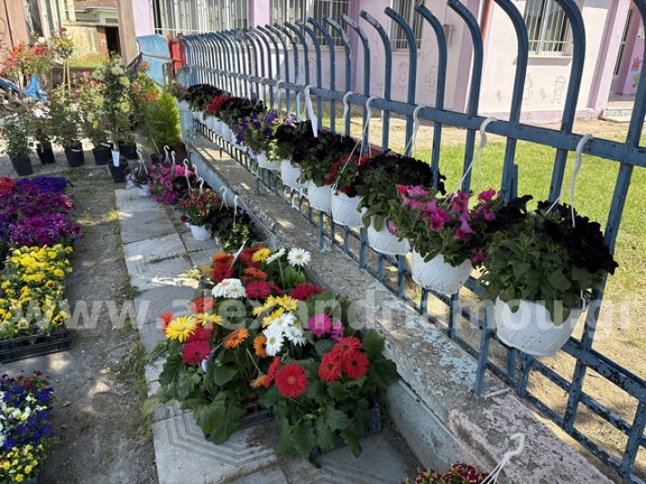 alexandriamou.gr_anthoekthesi_nisi3.5.25015