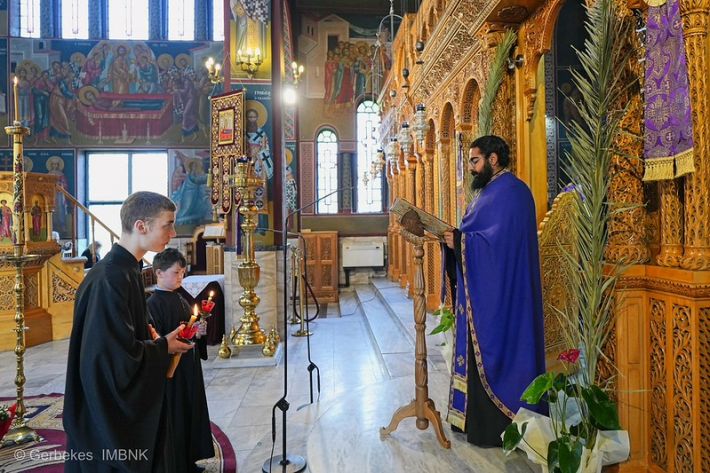 55197254962_abf8cfaa9d_c