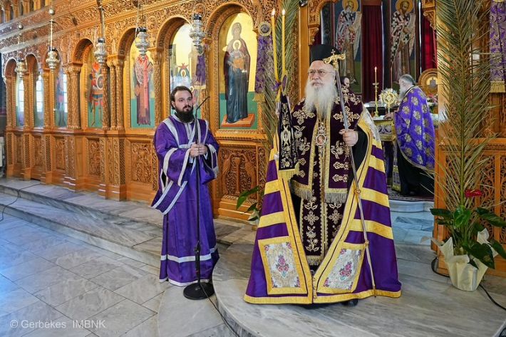 55197334767_3cb567901e_c