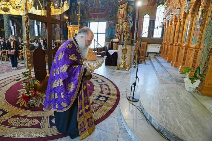 55198120136_8052fc9520_c