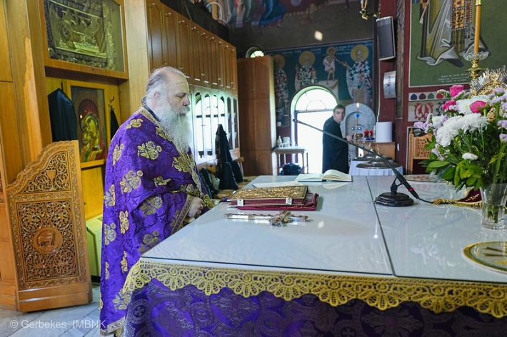 55198144036_5593ae3bd3_c