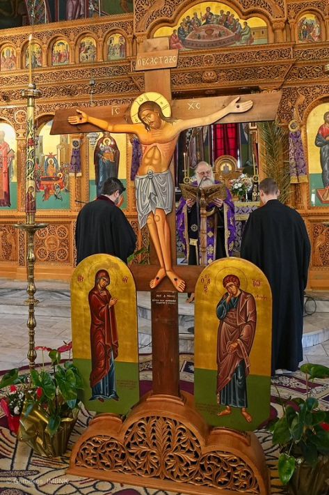 55198269993_ee95b383ca_c