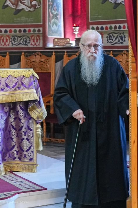 55198331618_f12f4efe6b_c